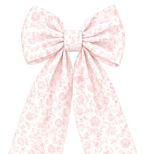 Newborn Sash